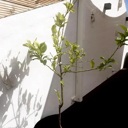 Casa Dos Retratos Feriehus